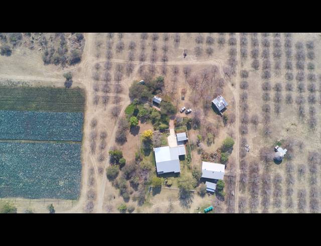 31HA FARM FOR SALE IN WEENEN